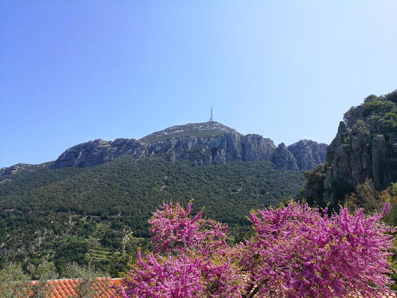 Hotel Sant'Elene Dorgali Luaran gambar